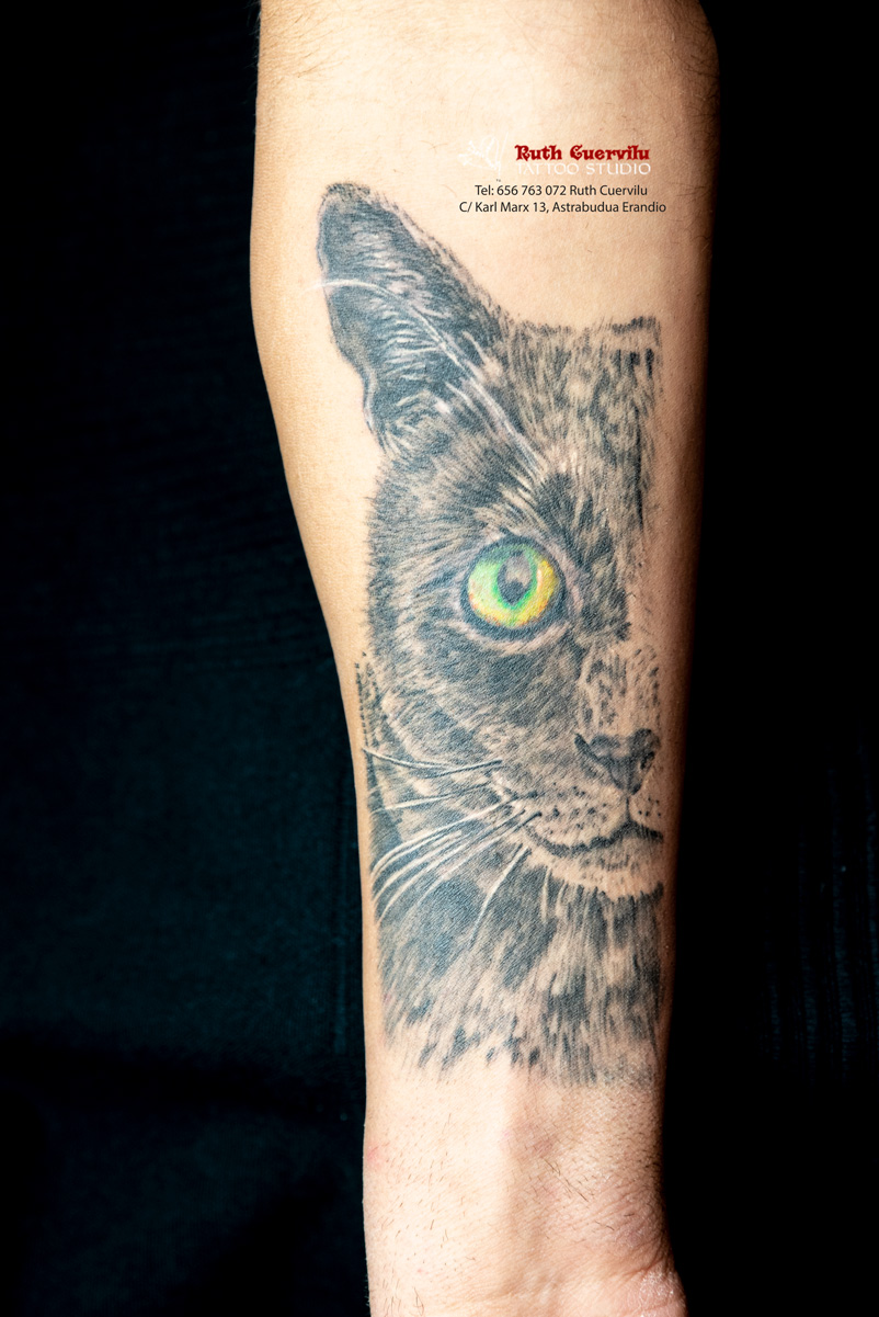 Tatuaje gato mascota realista curado - Ruth Cuervilu Tattoo - KM13 Studio - Estudio de tatuajes en Astrabudua Erandio Getxo, Bilbao Bizkaia