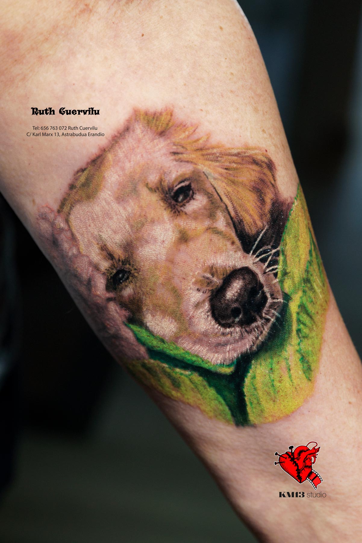 Tatuaje Mascota Realismo a color Perrito Bimba – Ruth Cuervilu Tattoo – KM13 Studio – estudio de tatuajes erandio astrabudua bilbao bizkaia